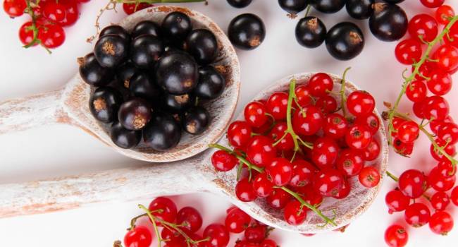 «Это природный антиоксидант»: Ученые утверждают, что эта ягода способна противодействовать развитию злокачественных новообразований