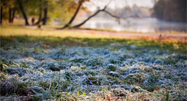 «Октябрь будет холодным»: синоптик рассказал, когда ожидать первых заморозков