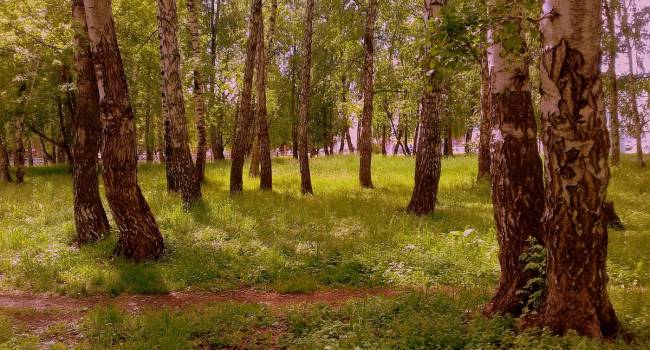  ������� ������ �������� ���������� ������� ��������� ����������� 