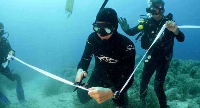  ������� ������ ������� ���������� ��������� ����� 