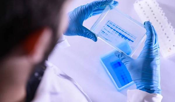  ������ ���������������� ������� ������������ ������� ������ ������ 