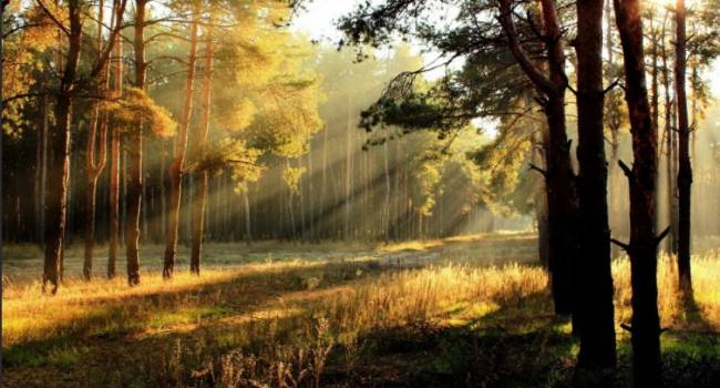  ������ ���������� �������� ������������ ������� ������ ������� 