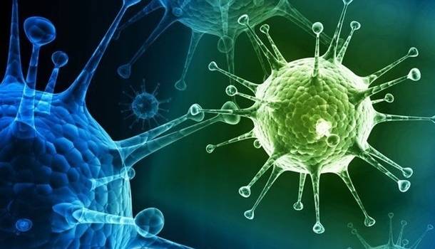  �������� ���������� ������ ��������� covid-19 ������ 