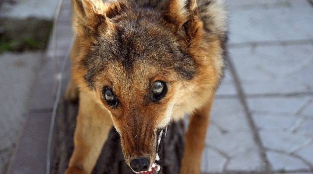  ��������� ��� ������� ���� ������� ������� �������� ������� 