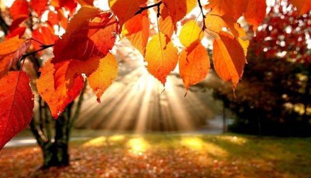 ����: replyua.net