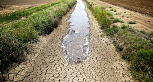  ������ ������� ���� �������� �������� ������ �������� ���������� 