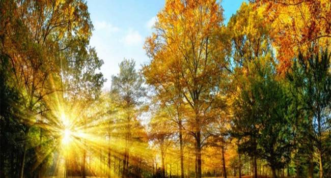  �������� �� ������� ���� �������� ��������� ������� ���� 