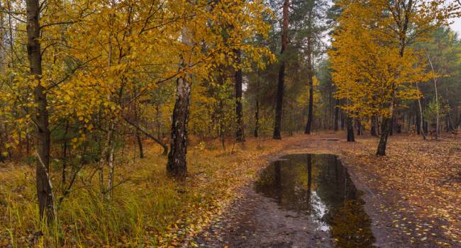  ������� ����������� ��������� ����� �������� ������������ �������� ���� 