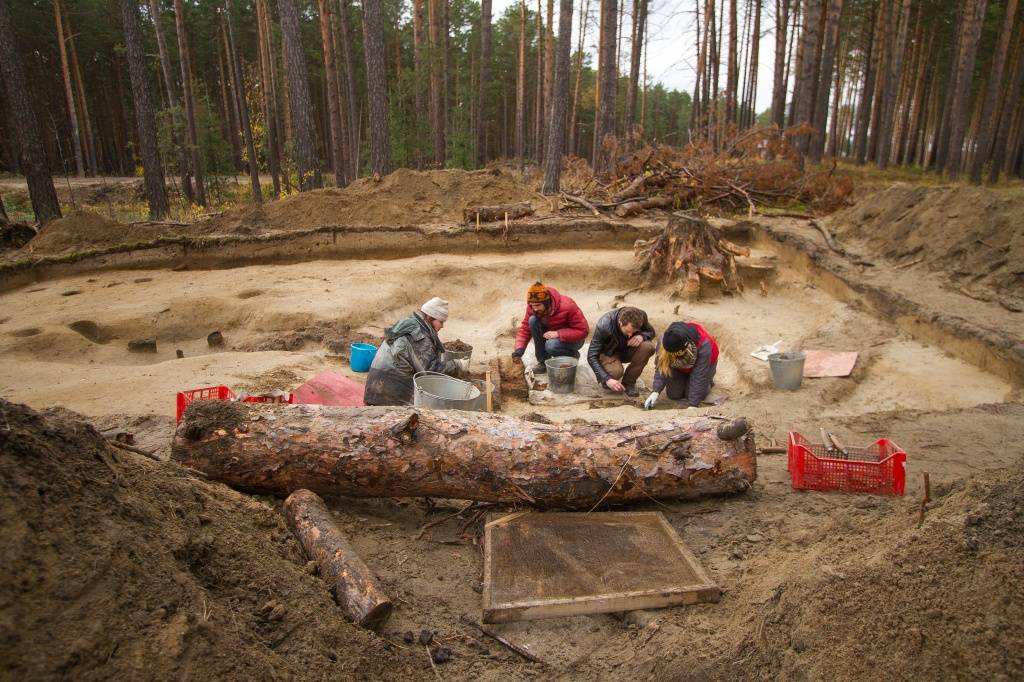 История нашли лет. Тимеревский археологический комплекс. Тимеревский археологический комплекс Ярославль. ТИМЕРЕВСКИЕ Курганы Ярославль. Томск раскопки Тимирязевское.