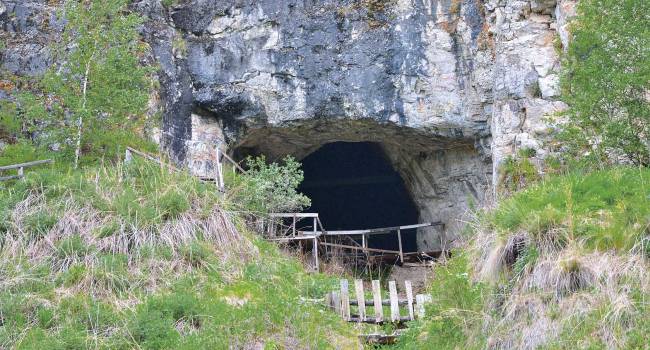 На Алтае ученые обнаружили самый древний зуб человека