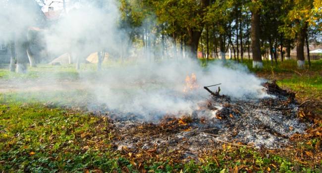 «Серьёзная опасность для здоровья»: эксперты рассказали, почему нельзя сжигать листья и траву на даче
