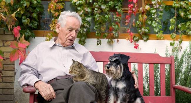 «С ними мало хлопот»: Кинолог назвал идеальные породы собак для пожилых людей