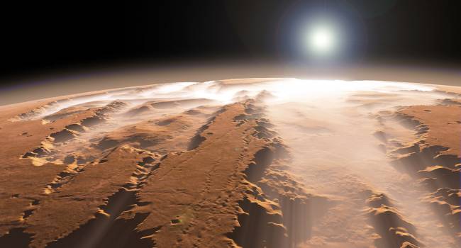 «Была занесена с Земли»: российский космонавт заявил о существовании жизни на Марсе