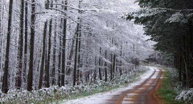 «Ждать осталось недолго»: синоптик рассказал о первом снеге и заморозках в Украине