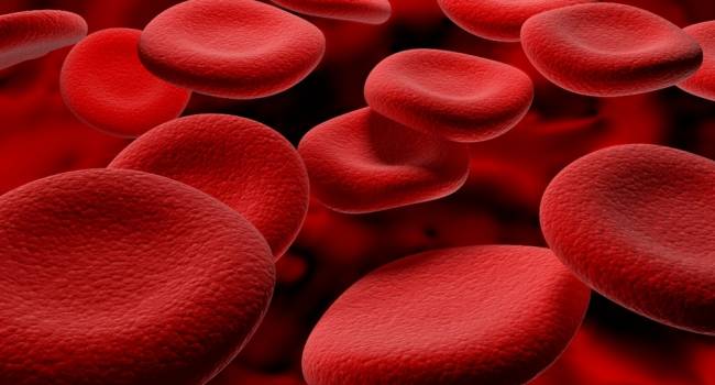 Тайны нашего организма: ученые нашли еще 600 видов жиров в крови человека