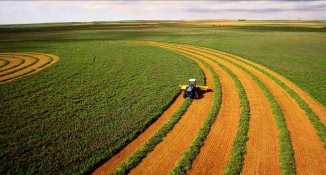 «Незаконные механизмы»: В Госгеокадастре заявили о 5 млн. гектаров сельхозземель, которые находятся в частной собственности