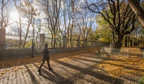 ����: replyua.net