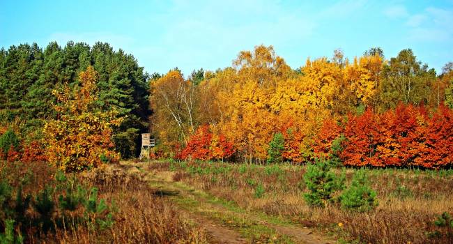  �� ��������� �������� ���������� ����� ����������� ��������� 