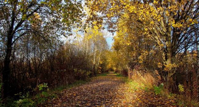  ����� ���������� ������� �������� �������� ��������� ��������� ������� 