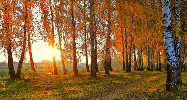  ��������� ������ ����� �������� ��������� ����������� ���� �������� 