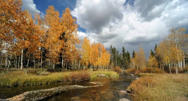  �������� ��������� ��� ���������� ���������� ��������� ������� ���� 