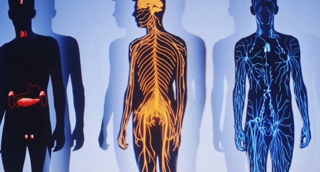  ���������� �������� ���������� ��������� ������ 