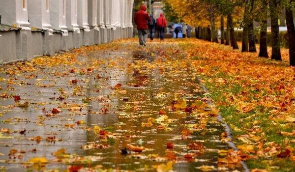  �������� �������� ����� ����� �������� ���������� ������ ����� 