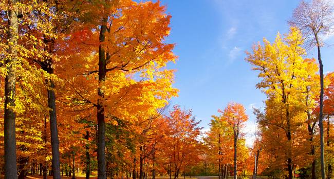  ������� ���������� ��������� ������������� ������ 