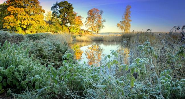  ��� ��������� ����������� �������� ������������ ������ ���������� ��������� 