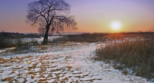  ������ ���������� ���������� ���������� �������� ���������� ������� 