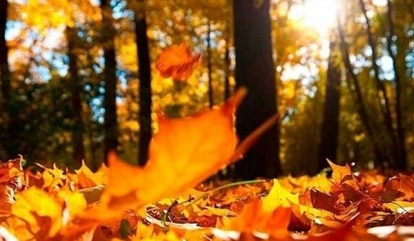  ������ ����������� ������ ��������� �������� ���������� ������ ������ 