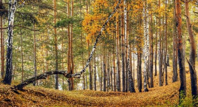  ����� ��� ���������� �������� ������� ��������� ��������� ��� 