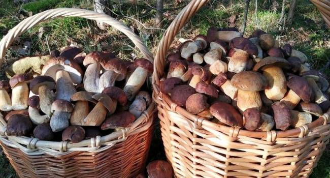  ������ ������ ��������� ������ ��� ���������� ���������� �������� 