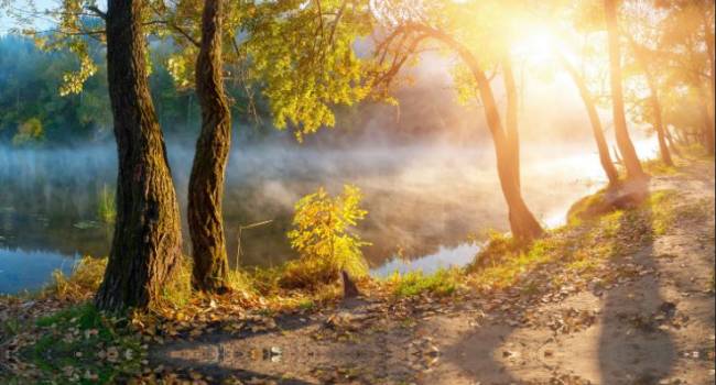 ����: replyua.net