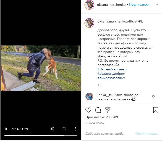 У богатых свои причуды: Оксана Марченко выгуляла теленка на цепи 