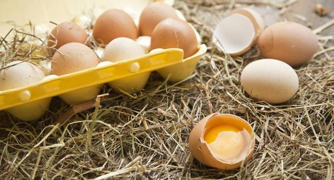 Такой феномен бывает одним на 25 миллионов: житель Австралии продемонстрировал уникальное куриное яйцо 