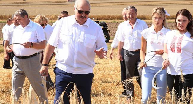 «Комплекс председателя колхоза»: дипломат дал точную характеристику Лукашенко 