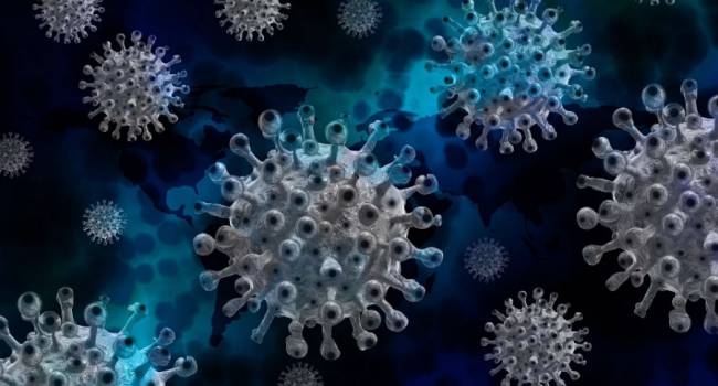 Волянский: Приобретенный иммунитет защищает организм от коронавируса в течение года