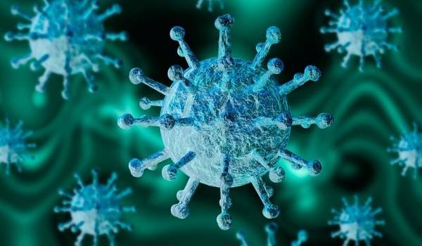 Китайские ученые озвучили новую версию появления коронавируса 