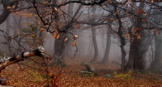  ������������ ������ ������ �������� ���������� ������ ��������� ��� 