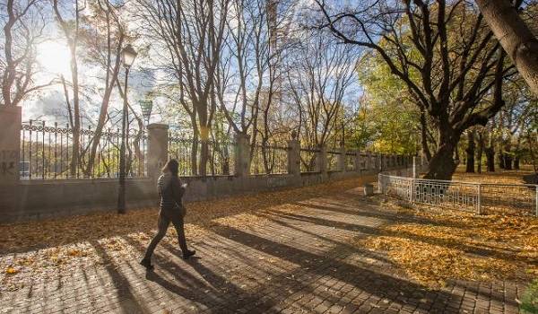  ������� ����� ��������� ���������� ������ ����������� 