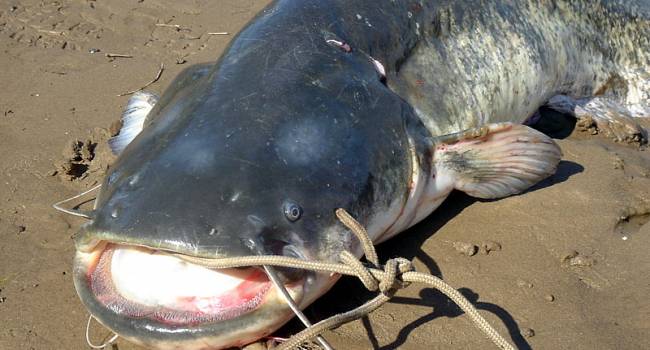  ������ ����� ���������� ���������� ������ ����������� ���� 