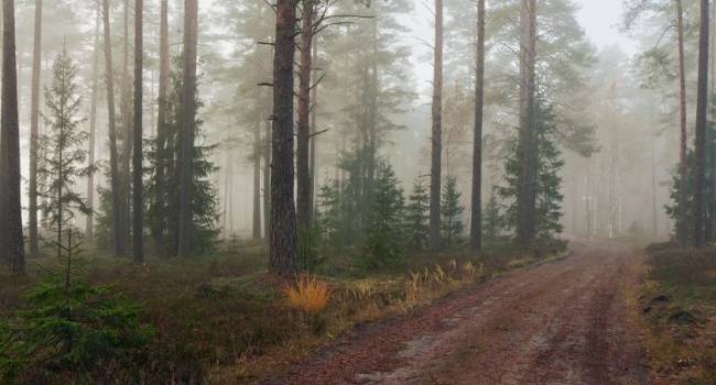  ������ ������ ���� �������� ������������ ��������� ������ ��������� 