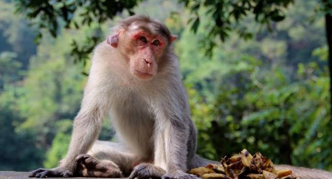 ����: replyua.net