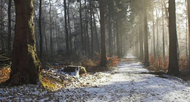  ��������� ������ �������������� ���������� ������ ��������� ��� 