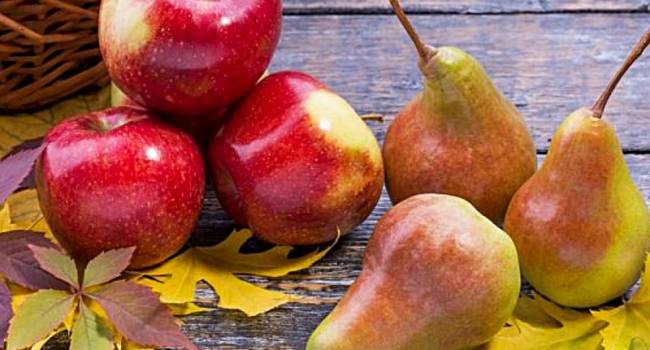  ������ ������� �������� �������� ������ ������ ����� 