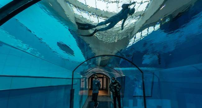  ������������ ������ ������ �������� ����� �������� ���� ������� 