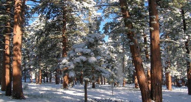  �������� �������� ����������� �������� ��������� ������ ��������� ��� 