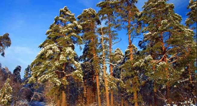  ����� ���� ����� �������� ��������� ������ ������� 