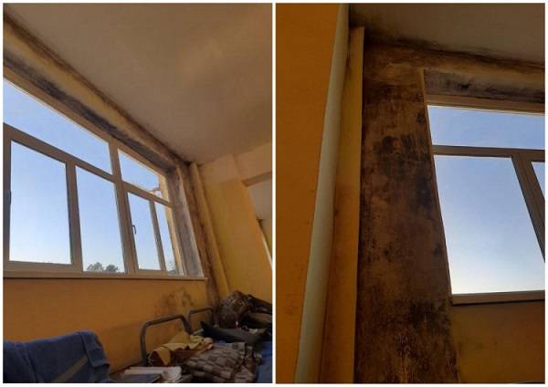  «Отсыревшая советская палатка с раскладушками»: волонтер показала ужасные условия, в которых лечатся больные COVID-19 бойцы ВСУ